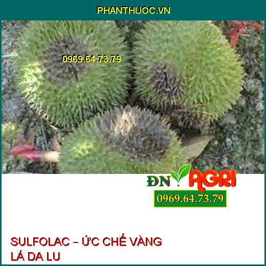 SULFOLAC – ỨC CHẾ VÀNG LÁ DA LU