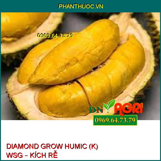 DIAMOND GROW HUMIC (K) WSG – KÍCH RỄ 