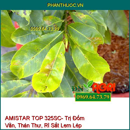 AMISTAR TOP 325SC- Trị Đốm Vằn, Thán Thư, Rỉ Sắt Lem Lép Hạt