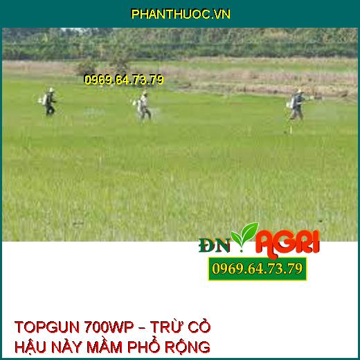 TOPGUN 700WP – TRỪ CỎ HẬU NẢY MẦM PHỔ RỘNG