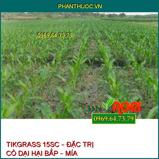 TIKGRASS 15SC – ĐẶC TRỊ CỎ DẠI HẠI BẮP – MÍA