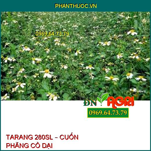 TARANG 280SL – CUỐN PHĂNG CỎ DẠI