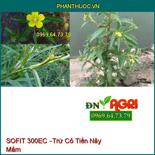 SOFIT 300EC –Trừ Cỏ Tiền Nảy Mầm