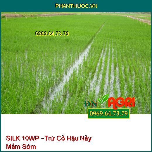 SILK 10WP –Trừ Cỏ Hậu Nảy Mầm Sớm