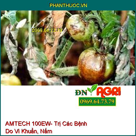 AMTECH 100EW- Đặc Trị Các Bệnh Do Vi Khuẩn, Nấm