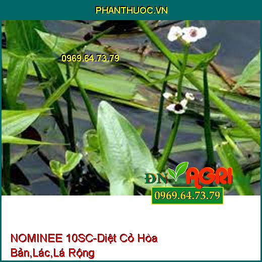 NOMINEE 10SC-Diệt Cỏ Hòa Bản,Lác,Lá Rộng