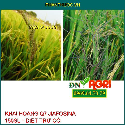 KHAI HOANG Q7 JIAFOSINA 150SL – DIỆT TRỪ CỎ