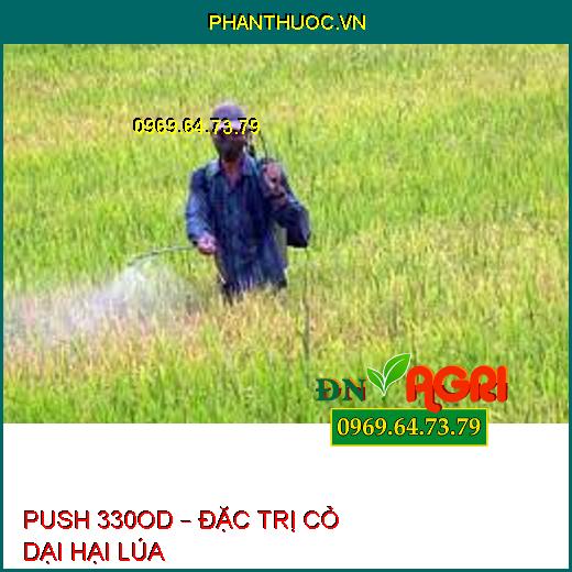 PUSH 330OD – ĐẶC TRỊ CỎ DẠI HẠI LÚA