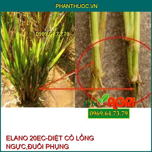 ELANO 20EC-DIỆT CỎ LỒNG NGỰC,ĐUÔI PHỤNG