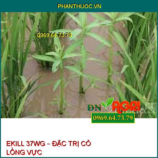 EKILL 37WG – ĐẶC TRỊ CỎ LỒNG VỰC