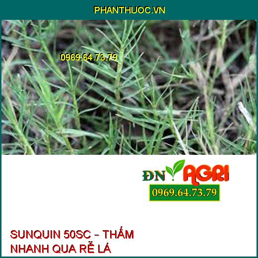 SUNQUIN 50SC – THẤM NHANH QUA RỄ LÁ