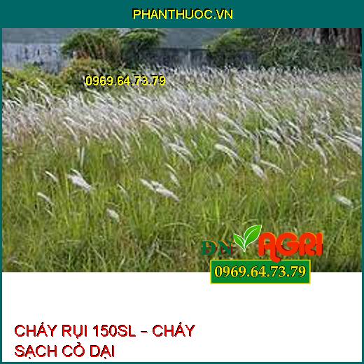 CHÁY RỤI 150SL – CHÁY SẠCH CỎ DẠI