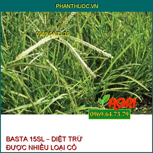 BASTA 15SL – DIỆT TRỪ ĐƯỢC NHIỀU LOẠI CỎ