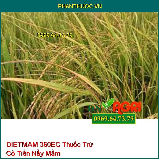 DIETMAM 360EC Thuốc Trừ Cỏ Tiền Nẩy Mầm