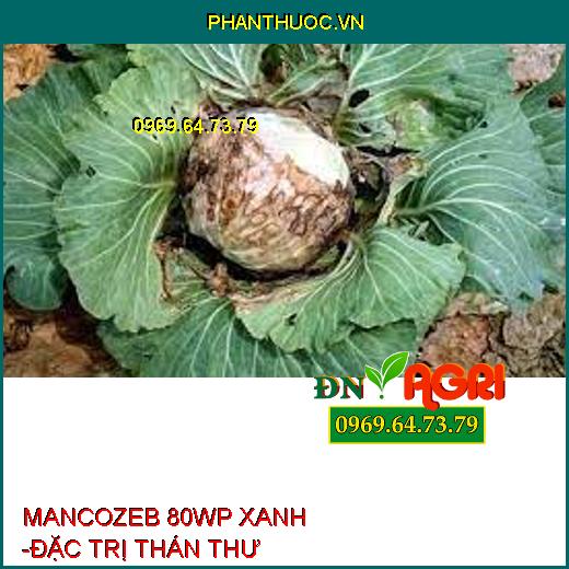 MANCOZEB 80WP XANH -ĐẶC TRỊ THÁN THƯ 