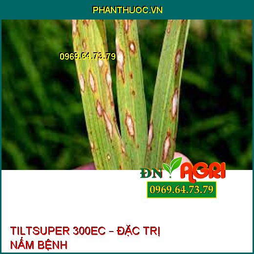 TILTSUPER 300EC – ĐẶC TRỊ NẤM BỆNH