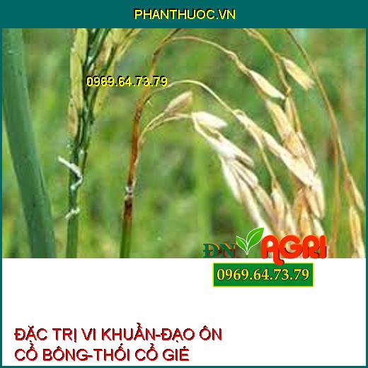 ĐẶC TRỊ VI KHUẨN-ĐẠO ÔN CỔ BÔNG-THỐI CỔ GIÉ