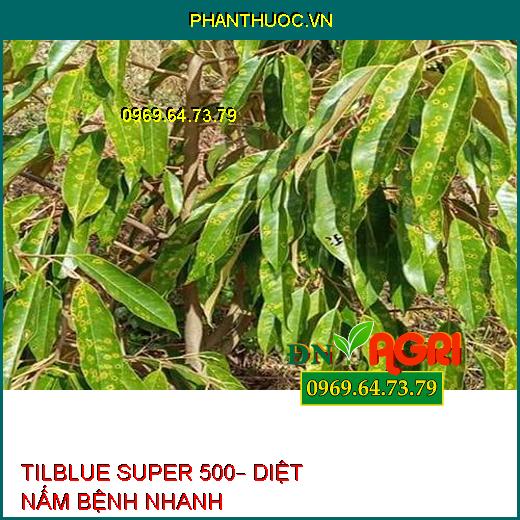 TILBLUE SUPER 500– DIỆT NẤM BỆNH NHANH