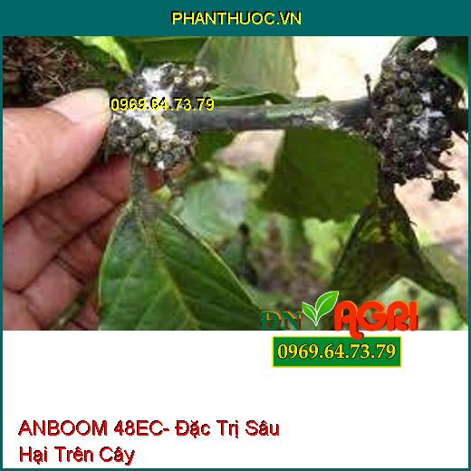 ANBOOM 48EC- Đặc Trị Sâu Hại Trên Cây