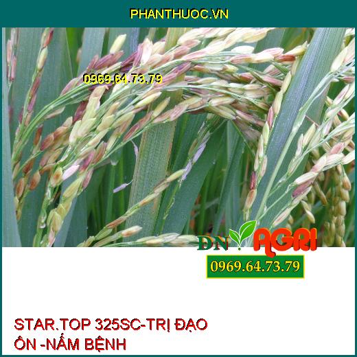 STAR.TOP 325SC-TRỊ ĐẠO ÔN -NẤM BỆNH