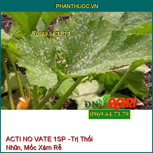 ACTI NO VATE 1SP –Trị Thối Nhũn, Mốc Xám Rễ