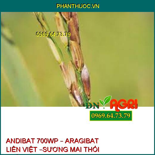 ANDIBAT 700WP – ARAGIBAT LIÊN VIỆT –SƯƠNG MAI THỐI THÂN