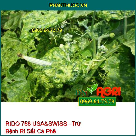 RIDO 768 USA&SWISS –Trừ Bệnh Rỉ Sắt Cà Phê