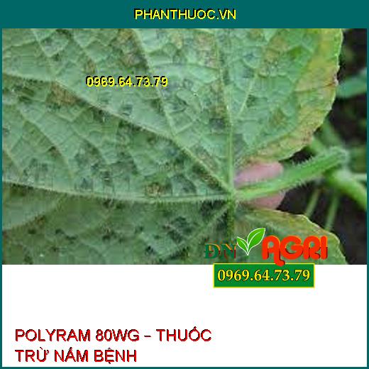 POLYRAM 80WG – THUỐC TRỪ NẤM BỆNH 