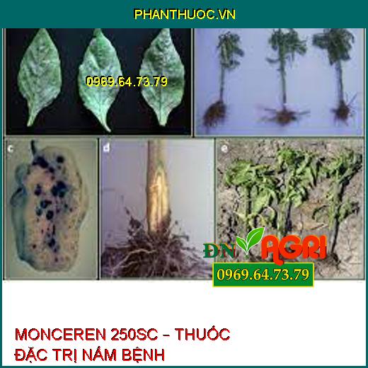 MONCEREN 250SC – THUỐC ĐẶC TRỊ NẤM BỆNH