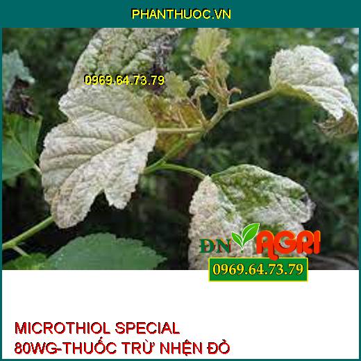 MICROTHIOL SPECIAL 80WG-THUỐC TRỪ NHỆN ĐỎ