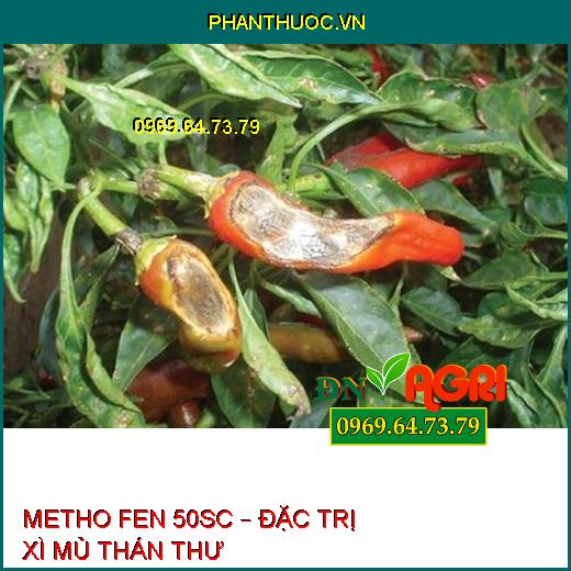 METHO FEN 50SC – ĐẶC TRỊ XÌ MỦ THÁN THƯ