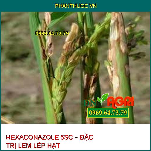 HEXACONAZOLE 5SC – ĐẶC TRỊ LEM LÉP HẠT