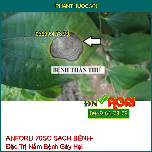 ANFORLI 70SC SẠCH BỆNH- Đặc Trị Nấm Bệnh Gây Hại