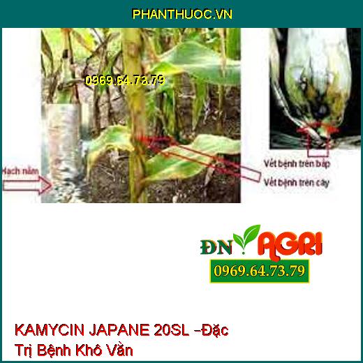 KAMYCIN JAPANE 20SL –Đặc Trị Bệnh Khô Vằn