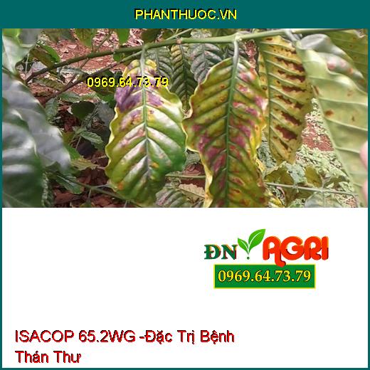 ISACOP 65.2WG -Đặc Trị Bệnh Thán Thư