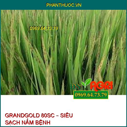 GRANDGOLD 80SC – SIÊU SẠCH NẤM BỆNH