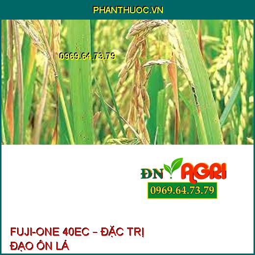 FUJI-ONE 40EC – ĐẶC TRỊ ĐẠO ÔN LÁ