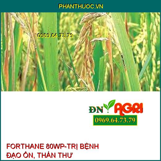 FORTHANE 80WP-TRỊ BỆNH ĐẠO ÔN, THÁN THƯ