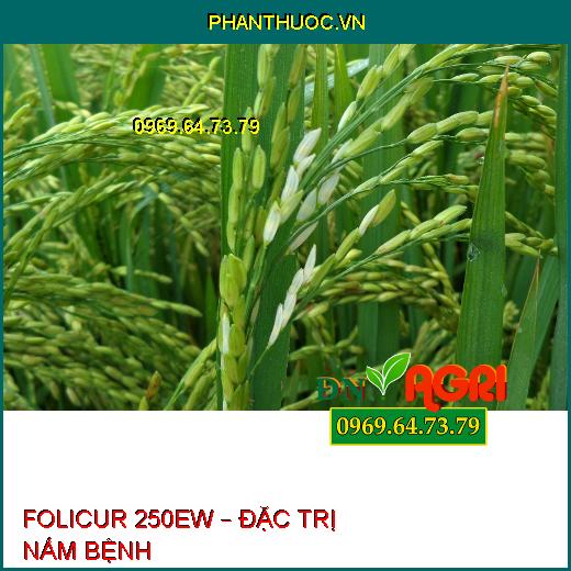 FOLICUR 250EW – ĐẶC TRỊ NẤM BỆNH