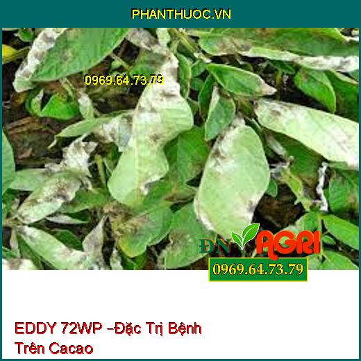 EDDY 72WP –Đặc Trị Bệnh Trên Cacao