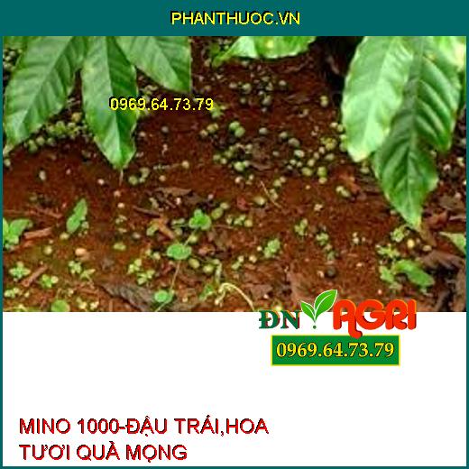 MINO 1000-ĐẬU TRÁI,HOA TƯƠI QUẢ MỌNG