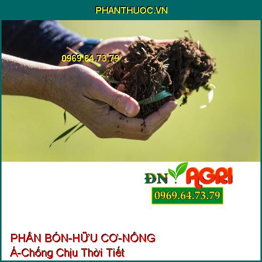 PHÂN BÓN LÁ RONG BIỂN – HỮU CƠ – NÔNG Á –Chống Chịu Thời Tiết, Tăng Đề Kháng