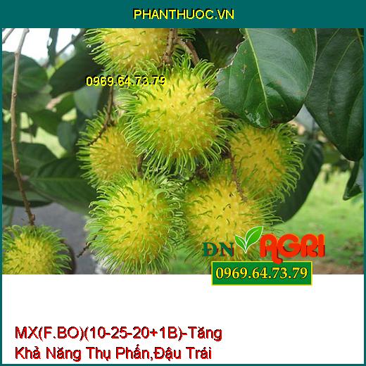 PHÂN BÓN MX(F.BO)(10-25-20+1B) –Tăng Khả Năng Thụ Phấn , Giúp Đậu Trái Nhiều