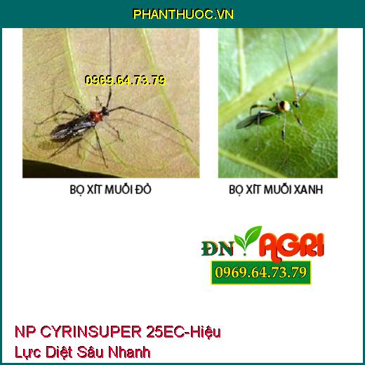 NP CYRINSUPER 25EC- Hiệu Lực Diệt Sâu Nhanh, Ruồi Đục Lá, Bọ Trĩ, Bọ Xít