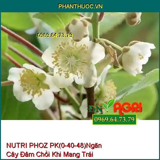 PHÂN BÓN LÁ HỖN HỢP NUTRI PHOZ PK (0-40-48) Ngăn Chặn Cây Đâm Chồi Khi Mang Trái