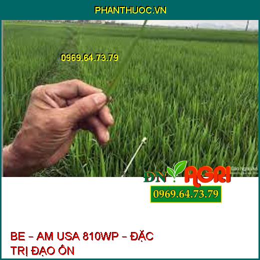 BE – AM USA 810WP – ĐẶC TRỊ ĐẠO ÔN