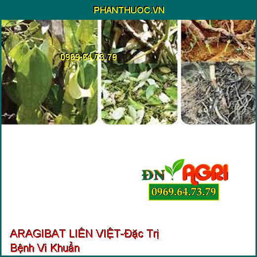 ARAGIBAT LIÊN VIỆT-Đặc Trị Bệnh Vi Khuẩn