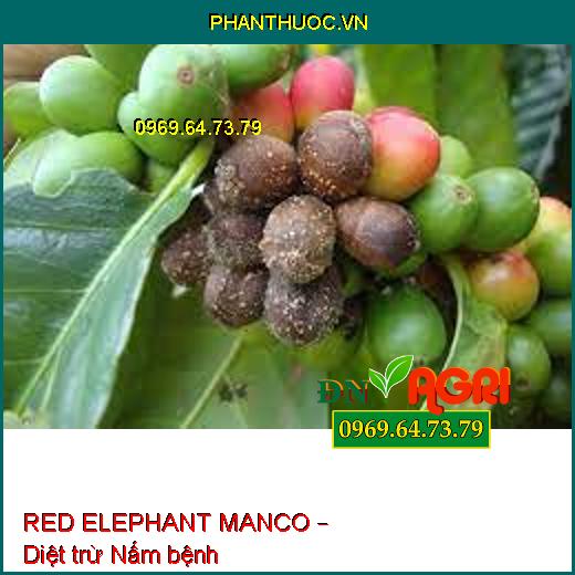 RED ELEPHANT MANCO – Diệt trừ Nấm bệnh