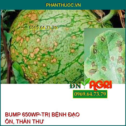 BUMP 650WP-TRỊ BỆNH ĐẠO ÔN, THÁN THƯ