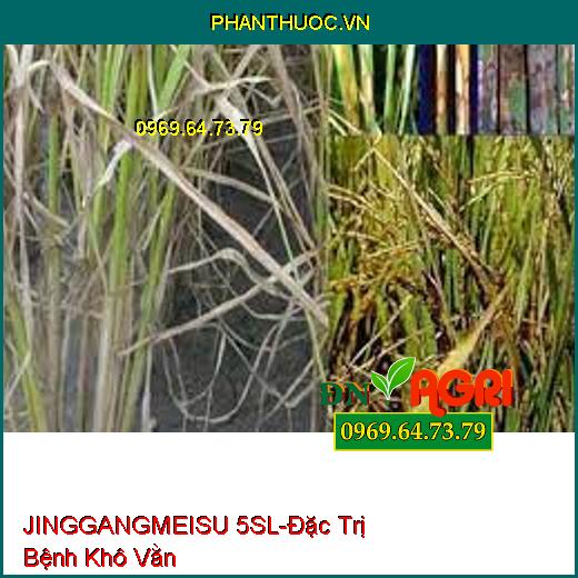 JINGGANGMEISU 5SL-Đặc Trị Bệnh Khô Vằn